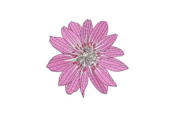 Radiant Star Petals Embroidery
